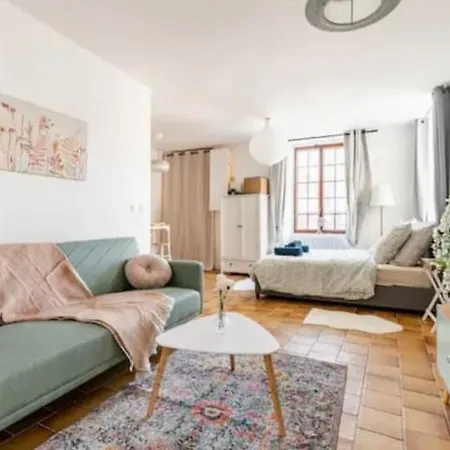 Apartment Grand 34m2, Paris Disneyland, Aeroport Cdg, Parc Asterix, Gare De Chelles Gournay